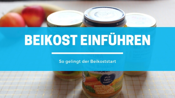 ᐅ Beikost Einfuhren Worauf Sie Beim Beikoststart Achten Sollten
